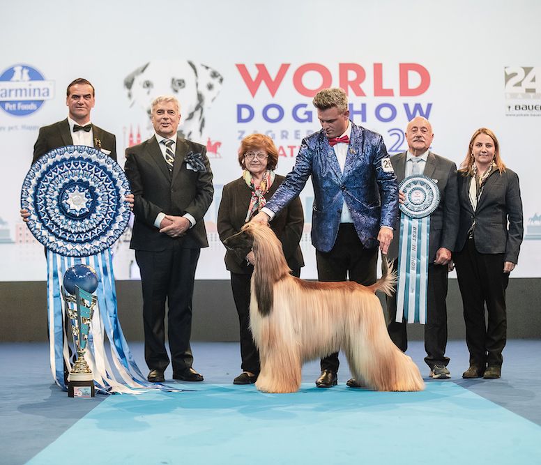 World Dog Show 2024